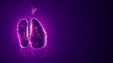 Dönüşümlü gerçekçi insan akciğerleri animasyonuyla soyut bir arka plan. Ciğerlerinde parlayan nöronlar olan fon. Kusursuz döngünün animasyonu