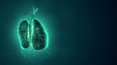 Dönüşümlü gerçekçi insan akciğerleri animasyonuyla soyut bir arka plan. Ciğerlerinde parlayan nöronlar olan fon. Kusursuz döngünün animasyonu