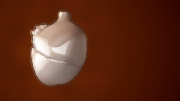 animation de rotation coeur humain. concept de soins de santé. Animation de boucle transparente 