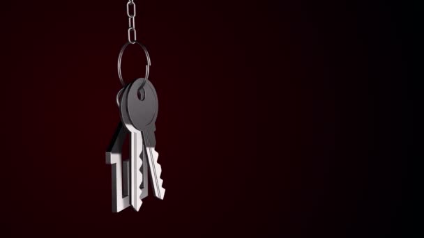 用新家钥匙和钥匙链制作金属环的动画 无缝回路的动画 — 图库视频影像