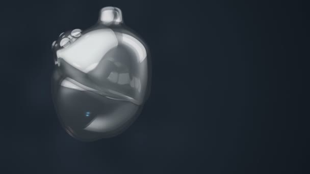 旋转的动画人类的心脏 卫生保健的概念 无缝循环动画 — 图库视频影像
