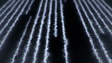 Neon çizgileri ya da lazerleri olan soyut bir arkaplan ve uçan çizgiler üzerinde titreşen parçacıklar. Kusursuz döngünün animasyonu.