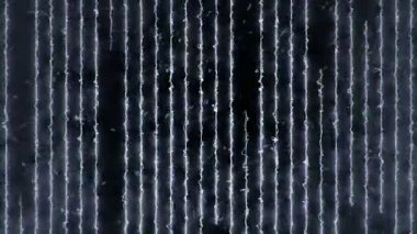 Animasyon uçan neon çizgili soyut bir arka plan. Kusursuz döngünün animasyonu.