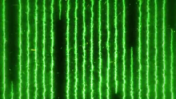 Αφηρημένο Φόντο Γραμμές Νέον Λέιζερ Και Σωματίδια Τρεμοπαίζουν Ιπτάμενες Λωρίδες — Αρχείο Βίντεο