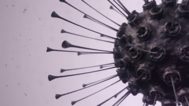 Mikroskop altında bakteri virüsünün derinliği, kusursuz döngü animasyonu