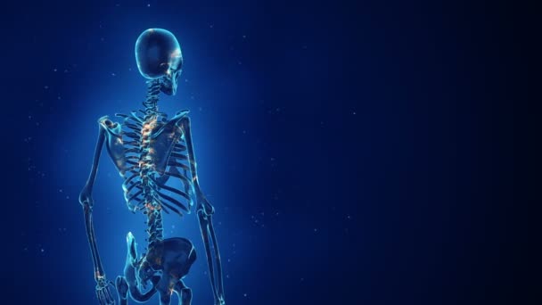 Abstrakter Hintergrund Mit Animation Der Rotation Realistisches Menschliches Skelett Mit — Stockvideo