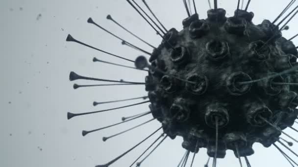 Анімація Вірусу Бактерій Під Мікроскопом Глибиною Анімація Безшовної Петлі — стокове відео
