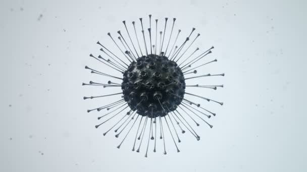 Анимация Вируса Бактерий Микроскопом Глубиной Анимация Бесшовного Цикла — стоковое видео