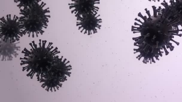 深度显微镜下细菌病毒的激活 无缝循环的激活 — 图库视频影像