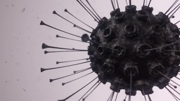 Animación Del Virus Las Bacterias Bajo Microscopio Con Profundidad Animación — Vídeo de stock