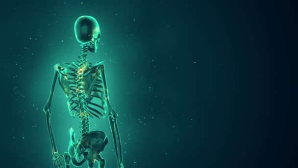 带有发光神经元的旋转逼真人体骨骼动画背景 无缝循环动画 — 图库视频影像