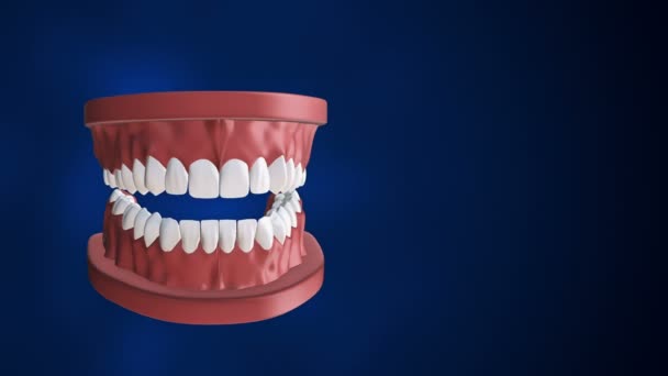 带动画的医学背景 用牙齿和假牙打开人类下巴 无缝循环动画 — 图库视频影像