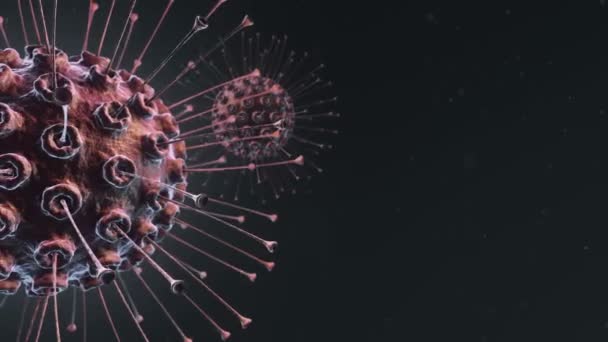 Animacja Wirusów Pod Mikroskopem Głębią Animacja Pętli Płynnej — Wideo stockowe
