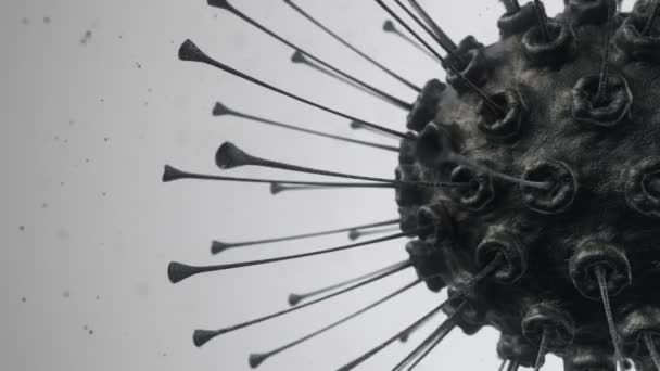 Анимация Вируса Бактерий Микроскопом Глубиной Анимация Бесшовного Цикла — стоковое видео