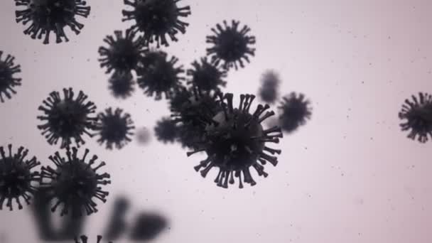 Animación Del Virus Las Bacterias Bajo Microscopio Con Profundidad Animación — Vídeo de stock