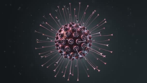 Animación Del Virus Las Bacterias Bajo Microscopio Con Profundidad Animación — Vídeo de stock