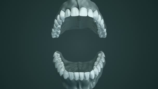 Lékařské Zázemí Animací Otevření Lidské Čelisti Zuby Zubními Implantáty Animace — Stock video