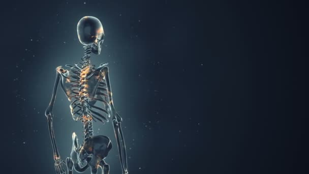 Abstrakt Bakgrund Med Animering Rotation Realistiskt Mänskligt Skelett Med Glöd — Stockvideo