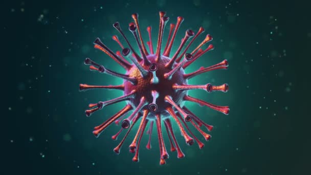 Animación Del Virus Las Bacterias Bajo Microscopio Con Profundidad Animación — Vídeos de Stock