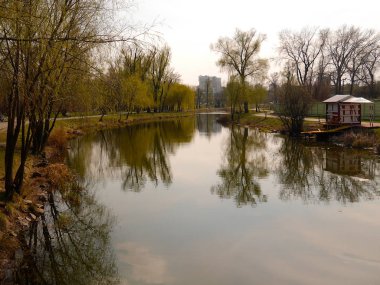 Baharda göl manzaralı 