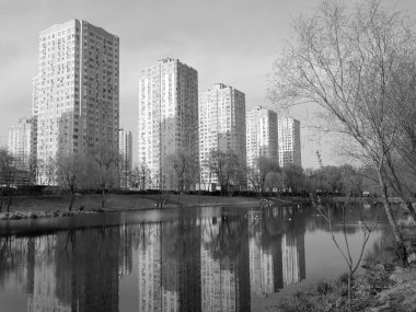 Baharda göl manzaralı 