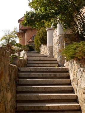 Buky köyündeki peyzaj parkı. Ukrayna