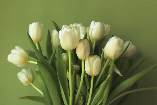 Spring Bouquet White Tulips — Stock Photo, Image