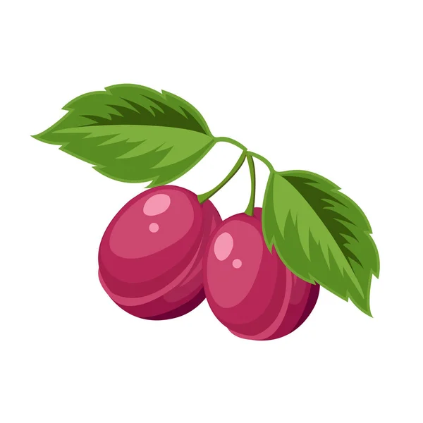 Illustration vectorielle de prunes mûres et brillantes. Icône de dessin animé . — Image vectorielle
