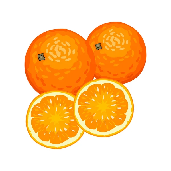 Vektorové ilustrace z čerstvých pomerančů — Stockový vektor