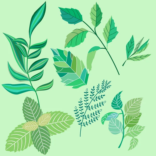 Ορίστε τα φύλλα και κλαδιά από διάφορα φυτά, ένα πολύ καλό έργα — Διανυσματικό Αρχείο