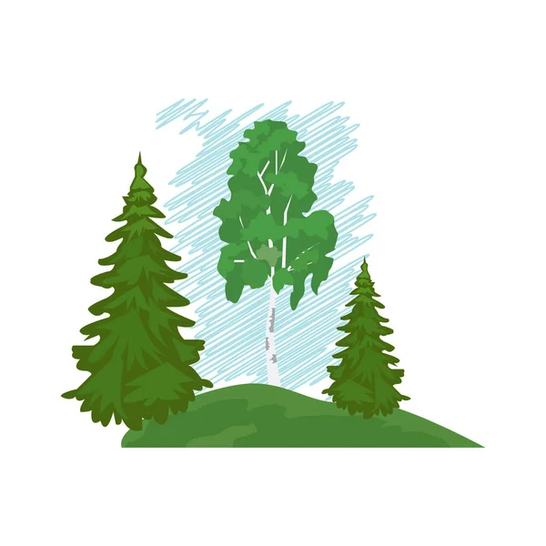 Woodland, Ladin, çam, huş ağacı, çim ve taşlar. WHI üzerinde izole