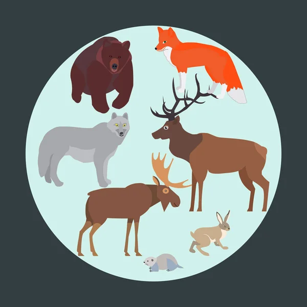 Vector concept with forest animals, arranged in a circle. Isolat — Stock Vector