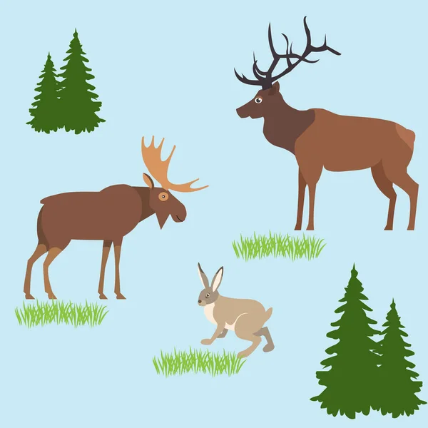 Vector concept with forest animals in the meadow with design ele — Stock Vector