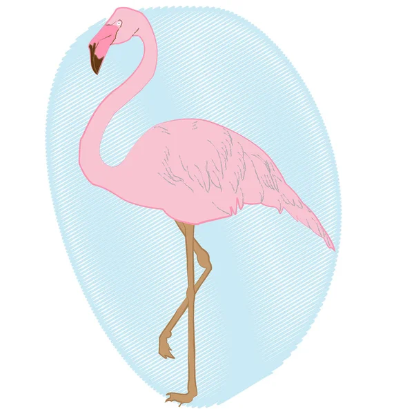 Flamingos rosa pintados à mão sobre um fundo azul — Vetor de Stock
