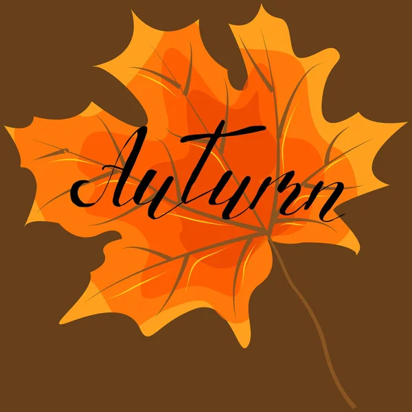 Autumn, hand lettering, quotes.Modern motivação caligrafia, ty —  Vetores de Stock