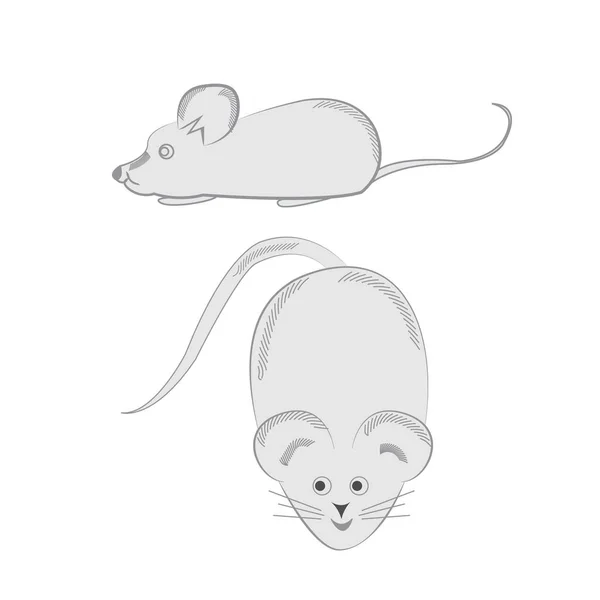 Lustige Zeichen Mausvektorillustration, isoliert auf weißem Ba — Stockvektor