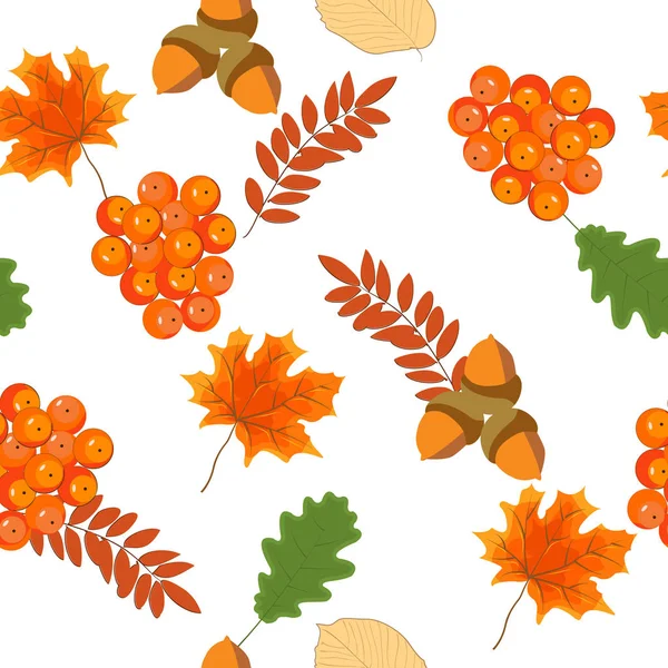 炫彩秋季无缝花纹有叶子和果实的王铁 — 图库矢量图片