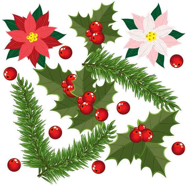 Χριστουγεννιάτικη σειρά από παραδοσιακά είδη σχεδίου, κλαδιά ελάτης, χριστουγεννιάτικα πουανσέτια — Διανυσματικό Αρχείο