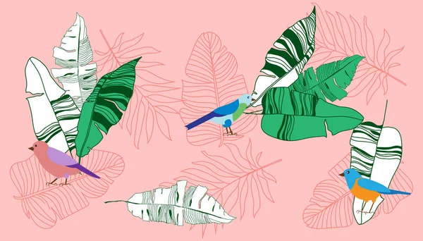 Baner poziomy z pięknymi liśćmi tropikalnymi i kolorowymi ptakami — Wektor stockowy