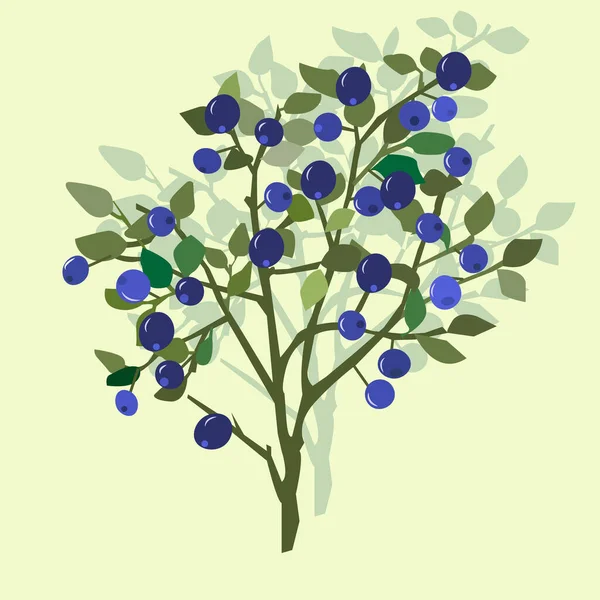 森のブルーベリーと葉 ベクトルイラスト — ストックベクタ
