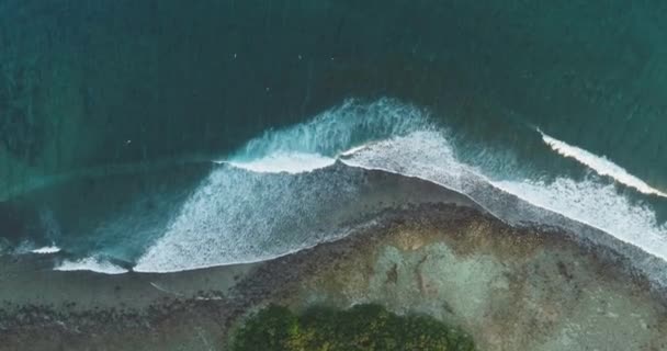 Top down tiro aereo sulla spiaggia vivida sabbia e alberi di cocco. Occhio di uccello sulla costa turchese selvatico e isola tropicale . — Video Stock