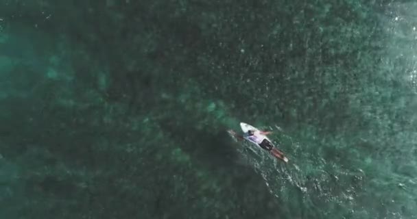 Top down luchtfoto op surfers die golven vangen op de oceaan. Bird eye view hoog op zeewater met surfplank aan de Stille Oceaan — Stockvideo