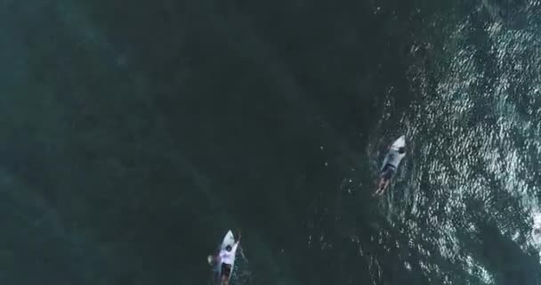 Plan aérien de haut en bas sur les surfeurs attrapant des vagues à l'océan. Vue plongeante sur l'eau de mer avec planche de surf au Pacifique  