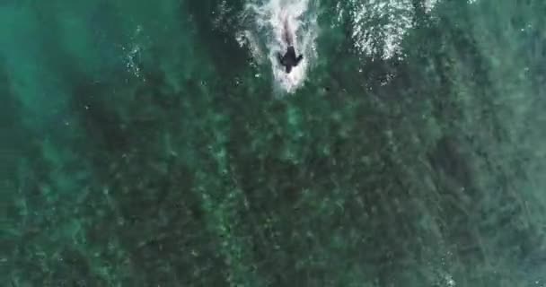 Tiro aéreo de cima para baixo em surfistas a apanhar ondas no oceano. Vista panorâmica no alto da água do mar com prancha de surf no Pacífico — Vídeo de Stock