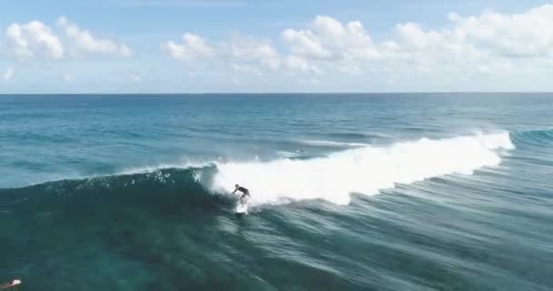 Surfař letecké sledování výstřel na zkušený samec surfař na koni obrovskou vlnu na jasný modrý den v oceánu chytání vln — Stock video