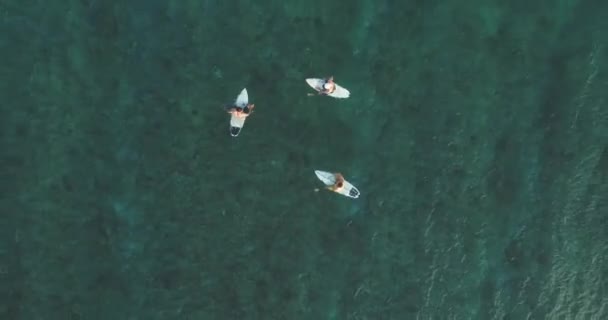 Top down tiro aereo sui surfisti cattura onde sull'oceano. Vista a volo d'uccello in alto sull'acqua di mare con tavola da surf nel Pacifico — Video Stock