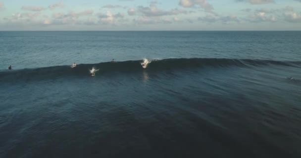 Surfař letecké sledování výstřel na zkušený samec surfař na koni obrovskou vlnu na jasný modrý den v oceánu chytání vln — Stock video