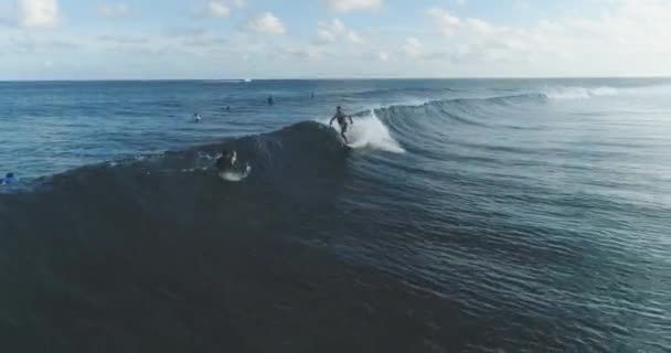 El rastreo aéreo de surfista disparó contra un experto surfista masculino que montaba una ola enorme en un día azul claro en las olas que capturaban el océano. — Vídeos de Stock