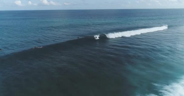 Surfer Aerial tracking shot on skilled male surfer riding a huge wave on a clear blue day at the ocean catching waves — Stock Video