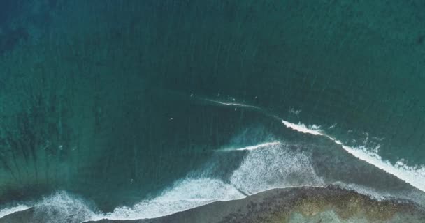 Top down tiro aereo sulla spiaggia vivida sabbia e alberi di cocco. Occhio di uccello sulla costa turchese selvatico e isola tropicale . — Video Stock